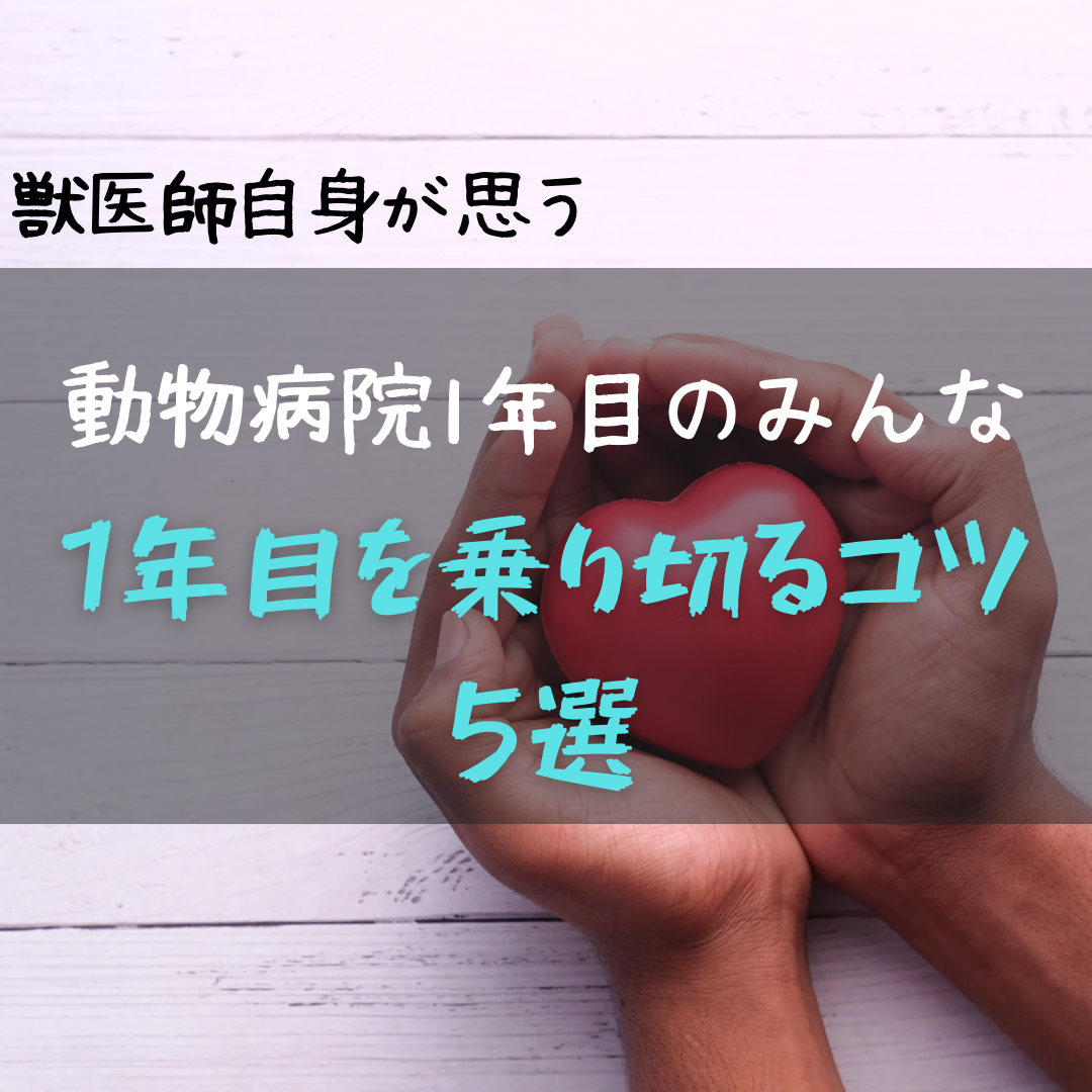 動物病院１年目のみんなへ】１年目を乗り切るコツ５選 | ママ獣医ぽこ